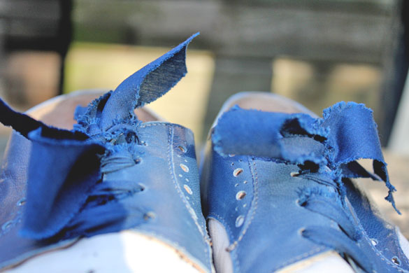 Shoelaces Blue