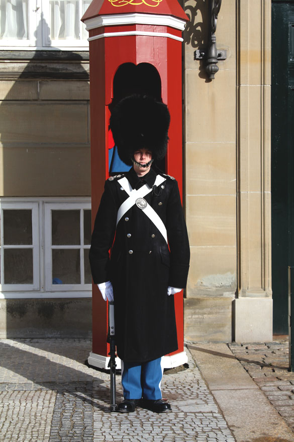 military accessories from denmark castle guard