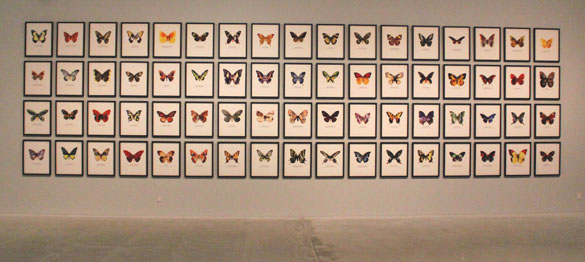 artwork world of butterflies peter henckel 2