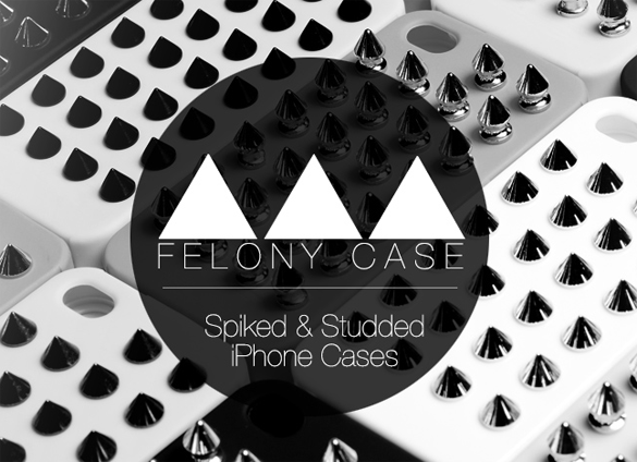 logo felony case